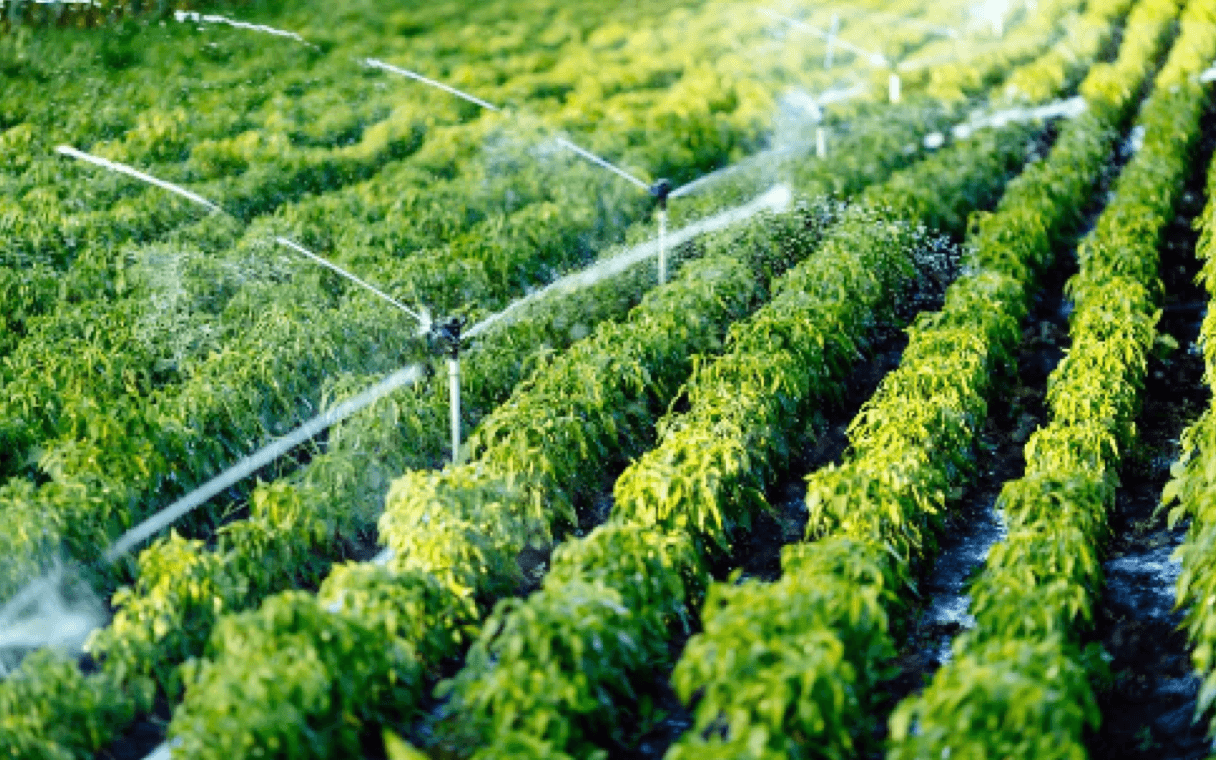 Improving Soil Fertility Through Organic Methods